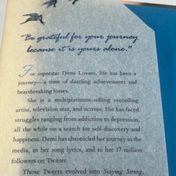 NEW Staying Strong 365 Days A Year Hardback Book By Demi Lovato - Picture 6 of 7